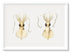 white frame love heart squid printed wall art